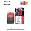 OXBAR G-8000